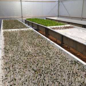 Advanced Solutions di Santoni srl SKID riscaldamento radiante per serre e vivai (1)