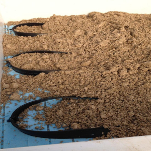 Advanced Solutions di Santoni srl SKID riscaldamento radiante per serre e vivai (3)