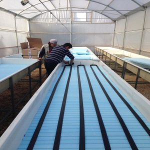 Advanced Solutions di Santoni srl SKID riscaldamento radiante per serre e vivai (4)